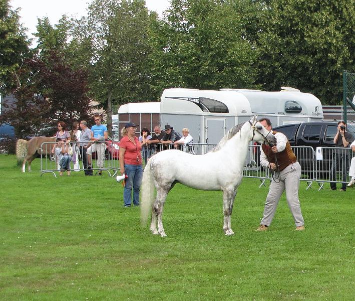 Crijtfeesten te Diepenbeek op 26 juli 2009 (129).JPG